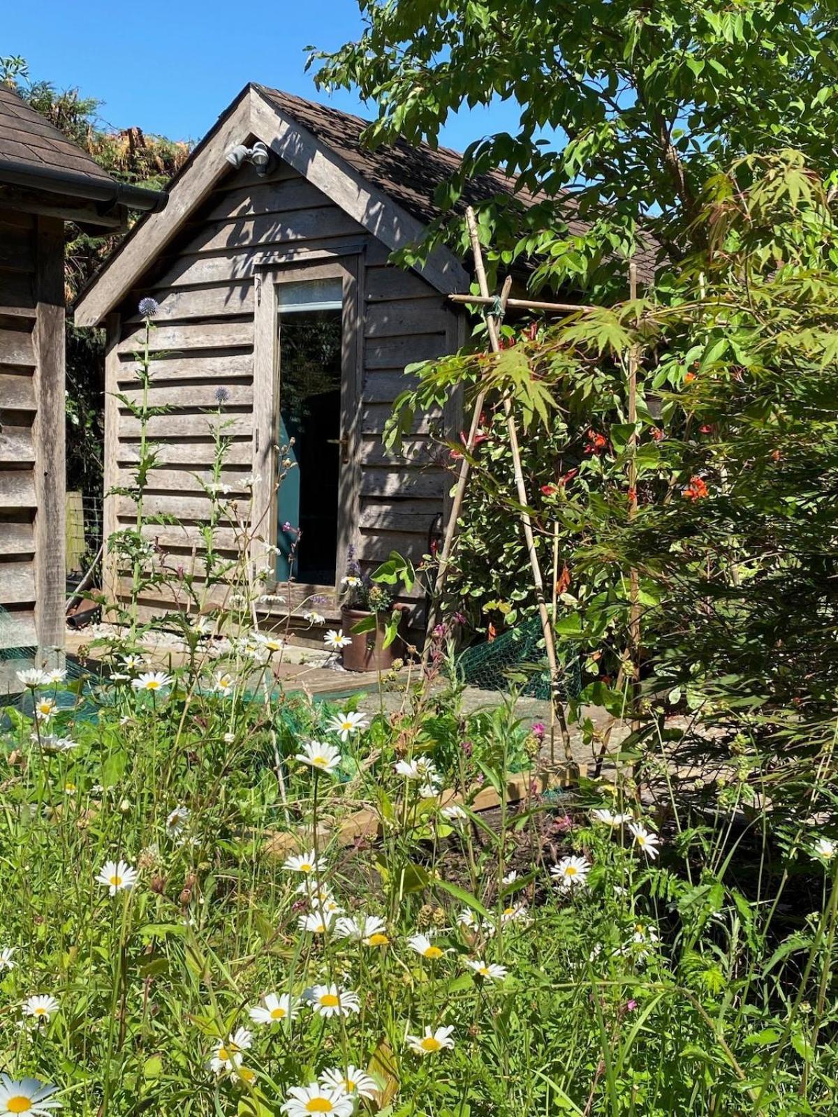 The Tool Shed Nestled In Idyllic Countryside Villa Linchmere Bagian luar foto