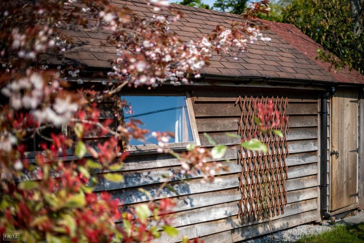 The Tool Shed Nestled In Idyllic Countryside Villa Linchmere Bagian luar foto