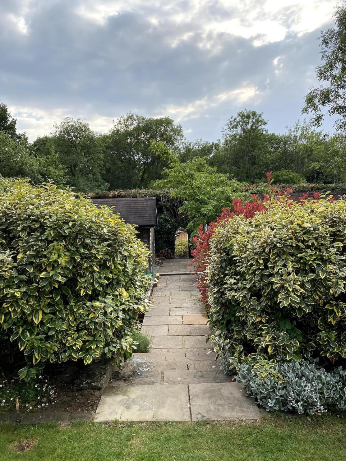 The Tool Shed Nestled In Idyllic Countryside Villa Linchmere Bagian luar foto
